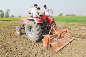 गेहूं की कटाई (Wheat Harvesting) के बाद करें ये काम