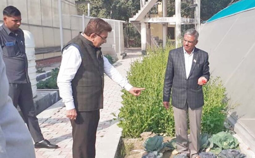 संस्थान ने किया मशरूम की अच्छी प्रजातियों का विकास