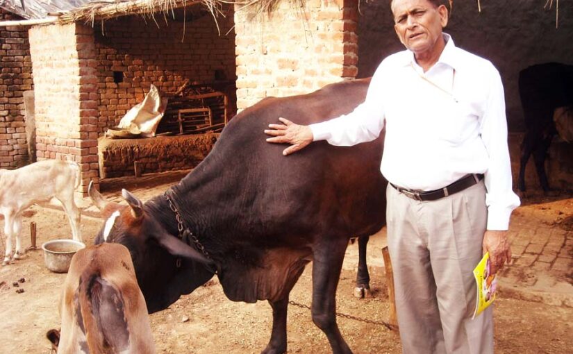 पशु चिकित्सा तकनीक पर कार्यशाला