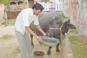 पशुओं की देखभाल (Animal Care)