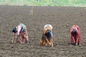 प्राकृतिक खेती (Natural Farming)