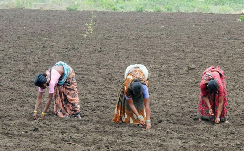 प्राकृतिक खेती (Natural Farming) वर्तमान समय की जरूरत