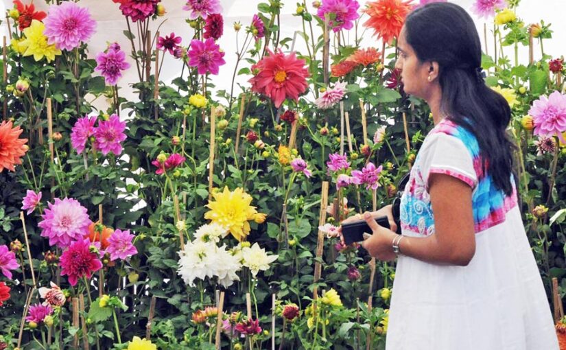 सचिवालय परिसर को चार चांद लगा रहे हैं 10 प्रजातियों के गुलाब (Species of Roses)
