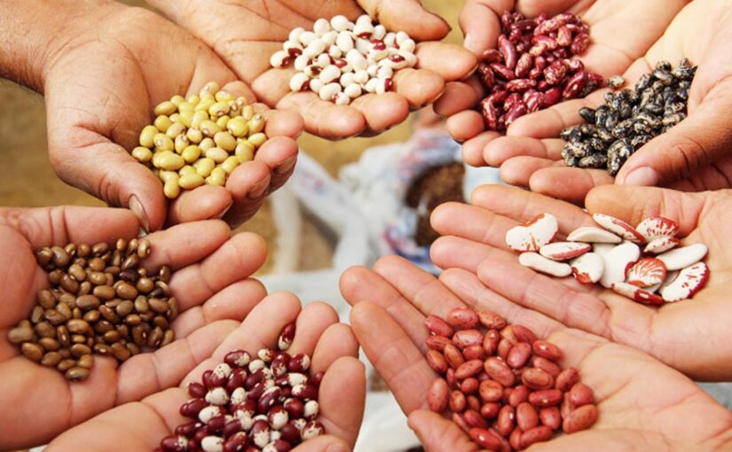 बीज परीक्षण (Seed Testing) के लिए बनेंगी प्रयोगशालाएं