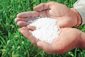 असली उर्वरक (Fertilizer) की पहचान