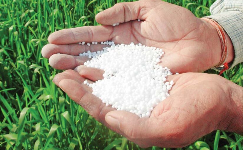 असली उर्वरक (Fertilizer) की पहचान