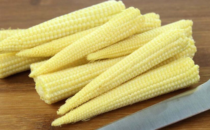 किसानों को मालामाल करेगी बेबीकौर्न (Babycorn) की खेती