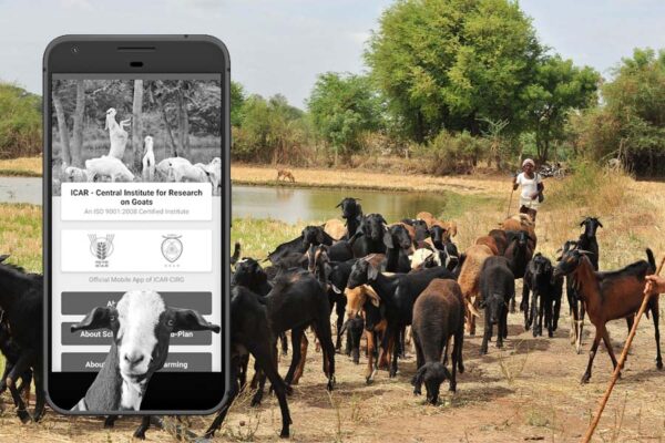 बड़े काम का है बकरीपालन (Goat Farming) एप