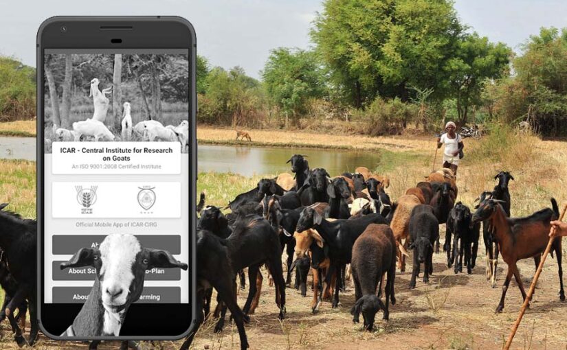 बड़े काम का है बकरीपालन (Goat Farming) एप
