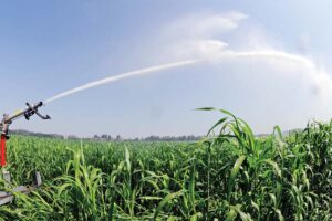 फव्वारा सिंचाई (Sprinkler Irrigation) से पानी की हर बूंद पर नियंत्रण