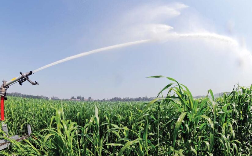 फव्वारा सिंचाई (Sprinkler Irrigation) से पानी की हर बूंद पर नियंत्रण