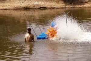 फिश एरिएटर (Fish Aerator)