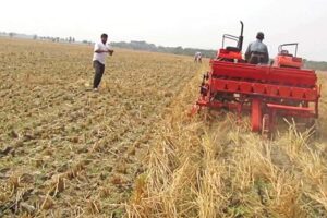 गेहूं के अवशेष (Wheat Residue)