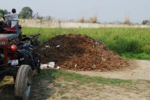 गोबर की खाद (Cow Dung Manure)