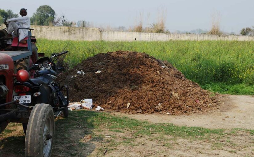 जैविक खेती में गोबर की खाद (Cow Dung Manure) है खास