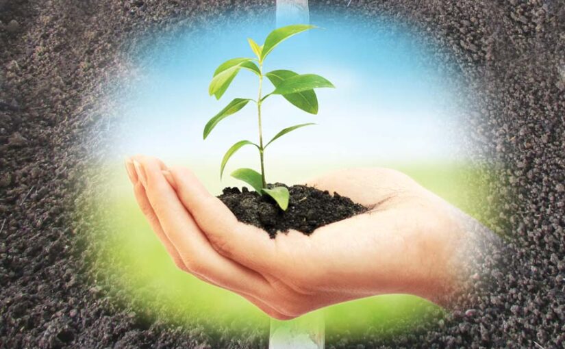 खेती में जैव उर्वरक (Bio-Fertilizer) का महत्त्व