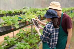 career in agriculture