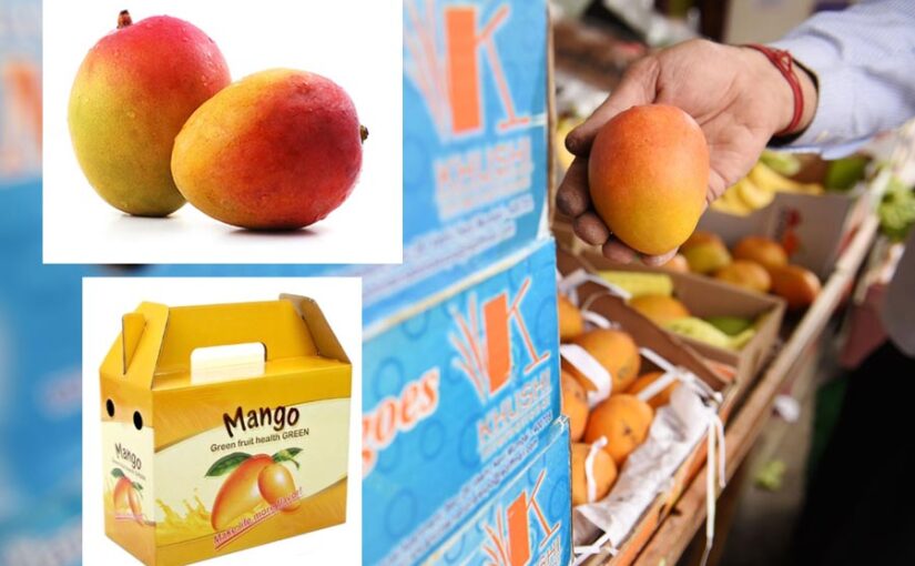 आम की अच्छी कीमत दिलाए अच्छी पैकेजिंग (Packaging)