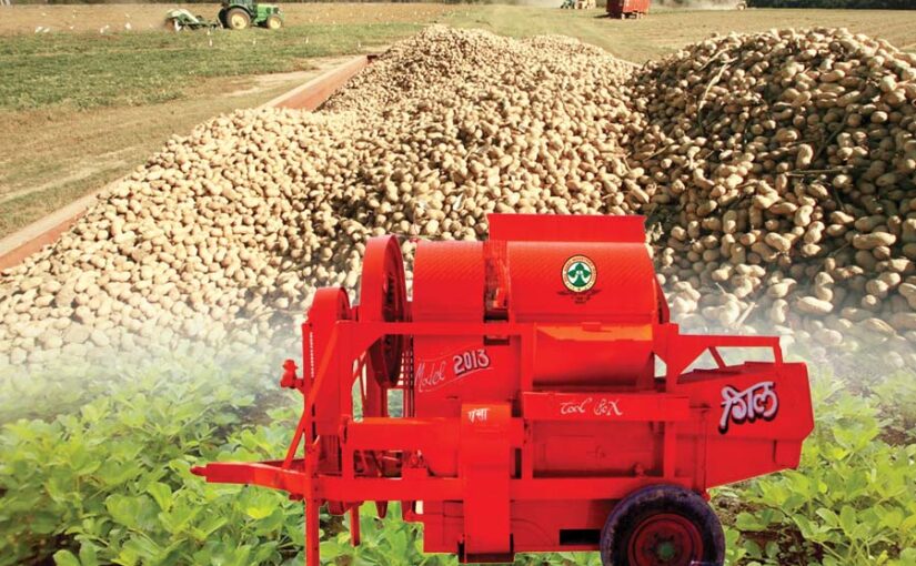 मूंगफली की थ्रैशर (Thresher) से करें गहाई