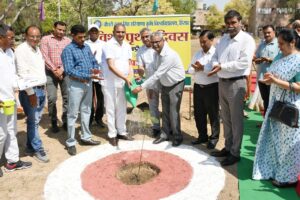 प्रदूषणरहित (Pollution Free)