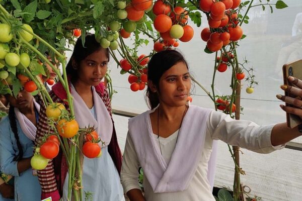 संरक्षित खेती मौडल (Protected Farming Model)