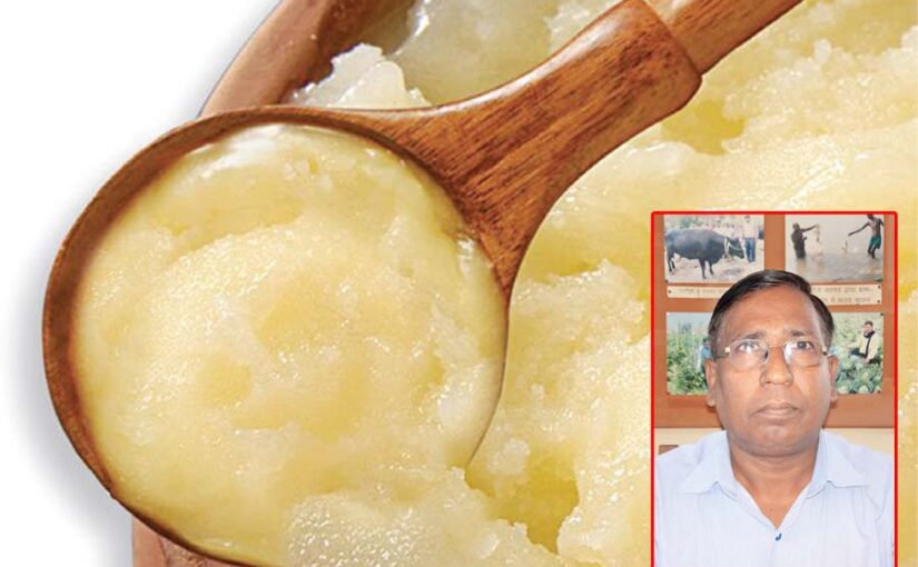घी उत्पादन (Ghee Production) के लिए पालें भदावरी भैंस