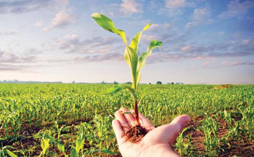 जैविक उत्पाद (Organic Produce) जमीन की उर्वराशक्ति बढ़ाता है