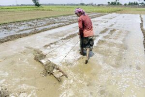 मजदूर दिवस (Labor Day) : सब से दयनीय मजदूर भारत का किसान