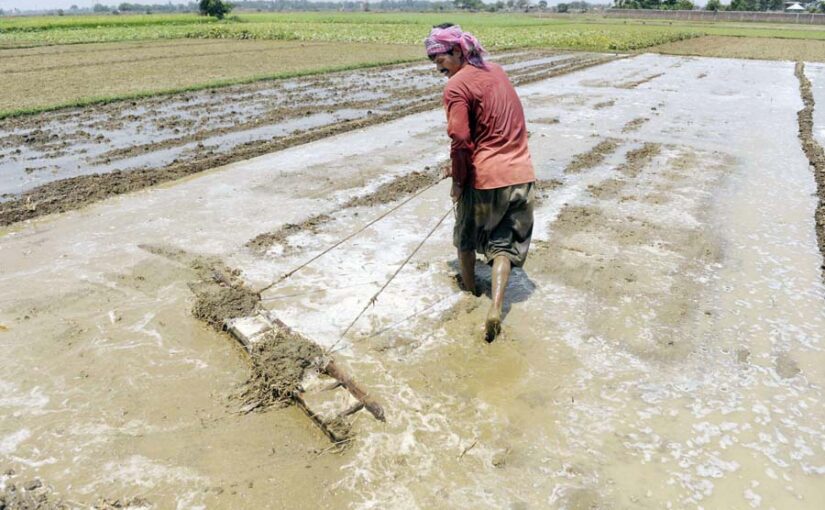 मजदूर दिवस (Labor Day) : सब से दयनीय मजदूर भारत का किसान