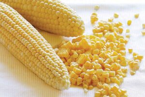 मक्का (Maize) के पौष्टिक लाजवाब स्वाद