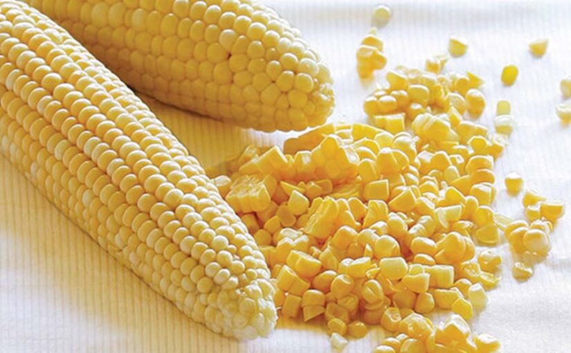 मक्का (Maize) के पौष्टिक लाजवाब स्वाद