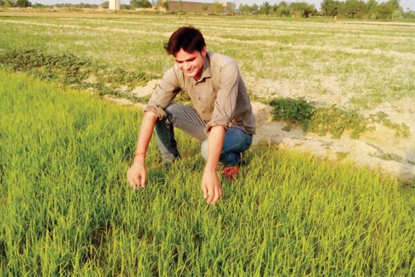 खेती के काम (Farming Tasks)