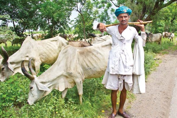 पशुओं में जब होने लगे विटामिन की कमी (Vitamin Deficiency in Animals)