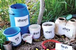 जीरो बजट खेती (Zero budget farming)