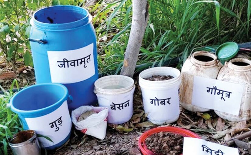 जीरो बजट खेती (Zero budget farming) : लागत कम अधिक मुनाफा