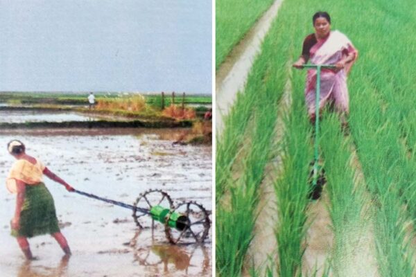 धान की खेती में महिलाओं के लिए सस्ते सुलभ कृषि यंत्र (Agricultural Equipment)