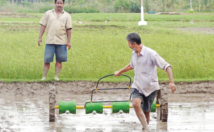 समय हो कम तो ड्रम सीडर (Drum Seeder) से करें धान की सीधे बोआई