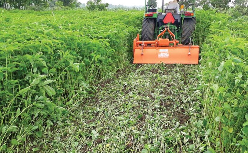 खेत में डालें हरी खाद (Green Manure)