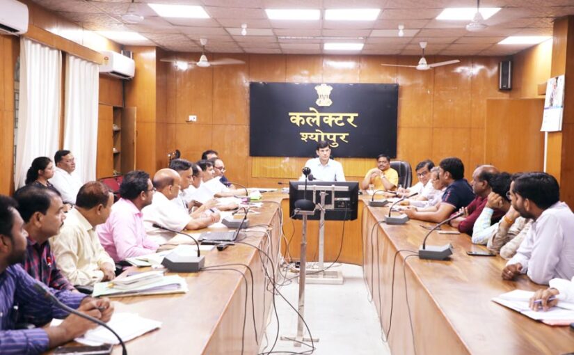 कम लागत में अधिक उत्पादन, एनपीके (NPK) का है कमाल