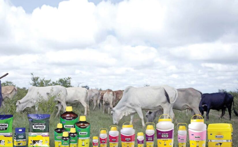 पशुपालन में आने वाली समस्याएं और निदान