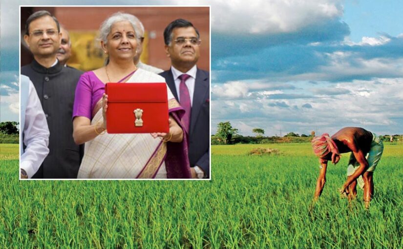 बजट 2024 (Budget 2024): किसानों के साथ एक बार फिर ‘छलावा’