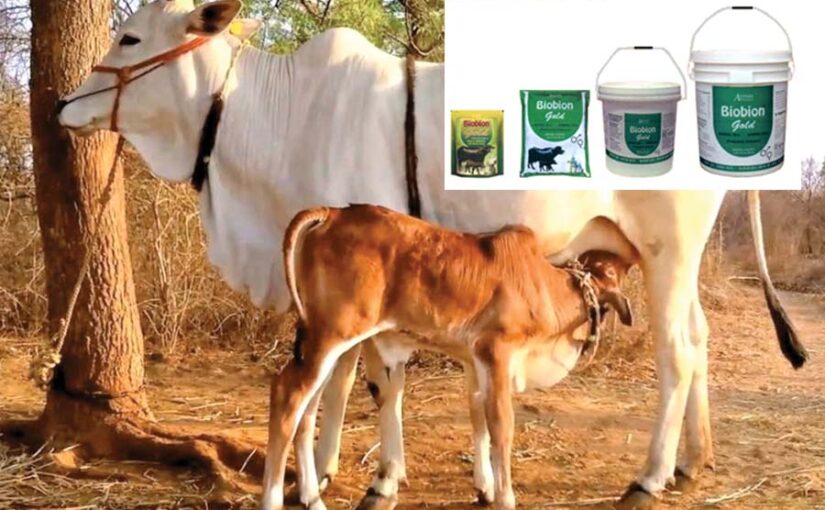 बायोबीऔन (Biobeon) से बच्चा लें हर साल