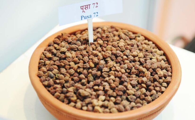 चने (gram) की उन्नत खेती