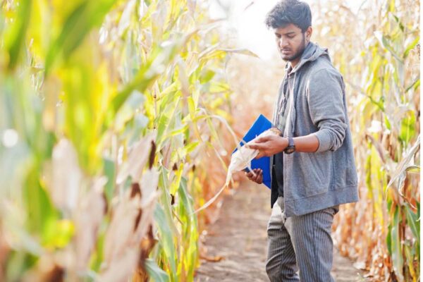 युवा करेंगे फसलों की गिरदावरी, तुरंत करें आवेदन