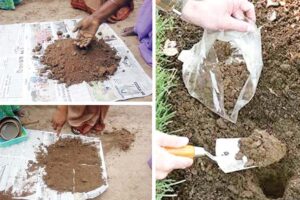 मिट्टी की जांच (Soil Testing)