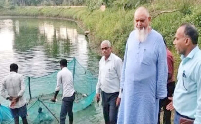 मत्स्यपालन की सफलता से बढ़ी आय