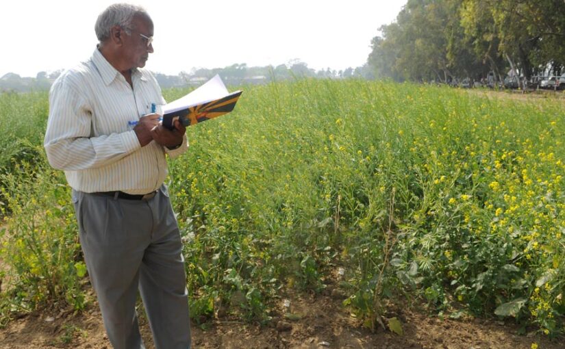 फसलों की नमी नापेगा नमी मीटर (Moisture Meter)