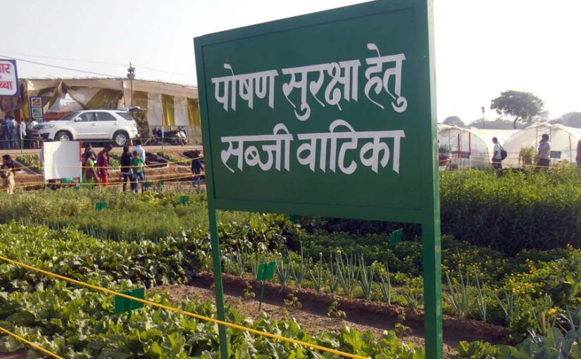 कुपोषण को मात देती पोषण वाटिका