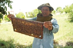 शहद व्यवसाय (Honey Business)