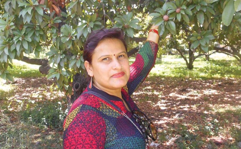 बागबानी (Gardening) का बढ़ता दायरा